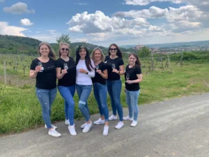 Rozlučky se svobodou - Wine Tours Moravia