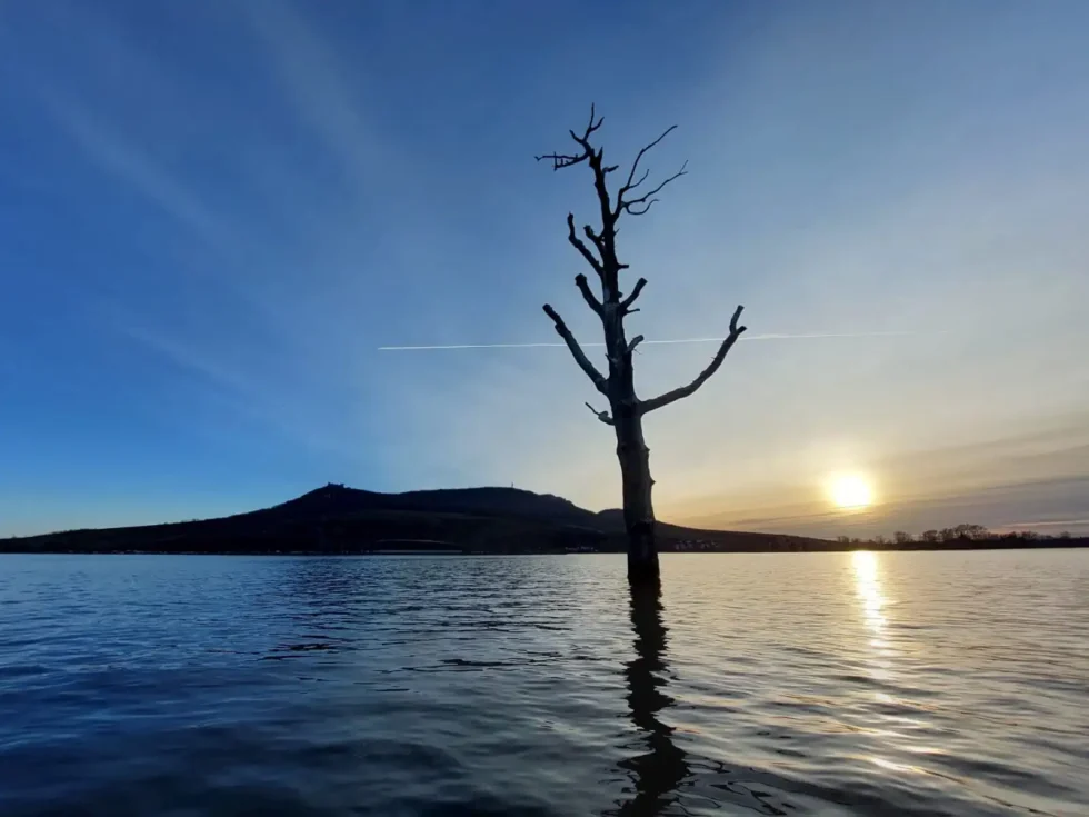 The best of Moravia in one day - Wine Tours Moravia