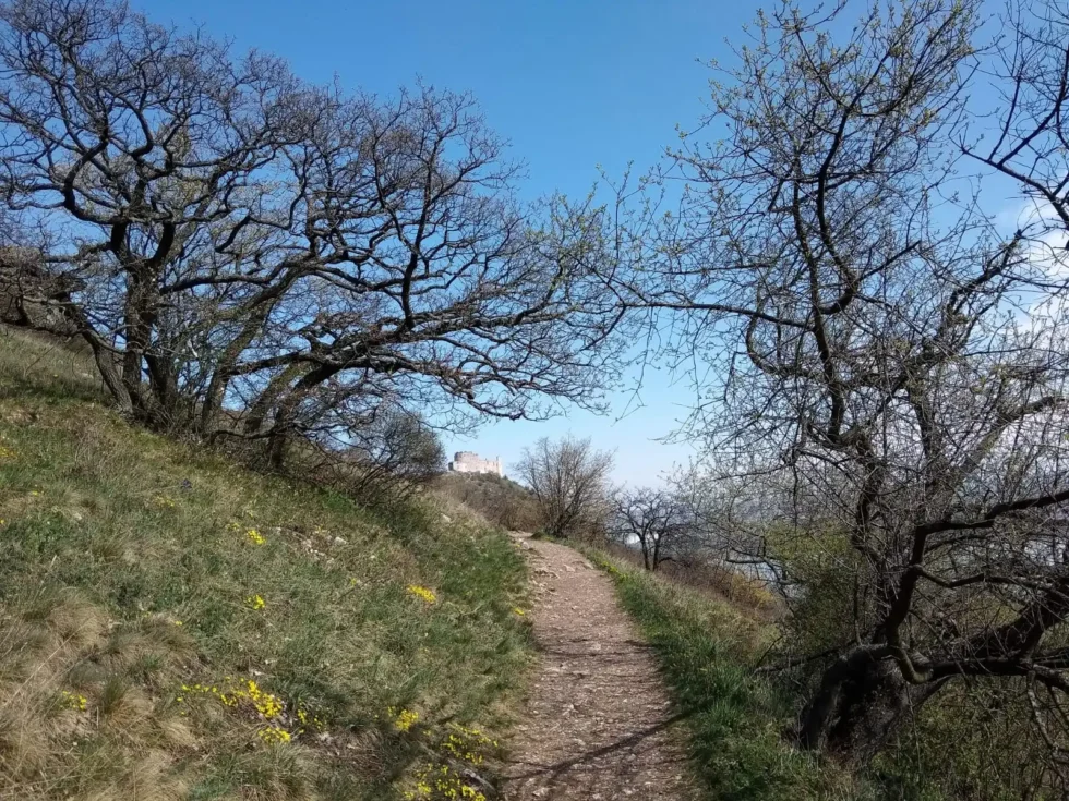 Wine & Hike - Wine Tours Moravia