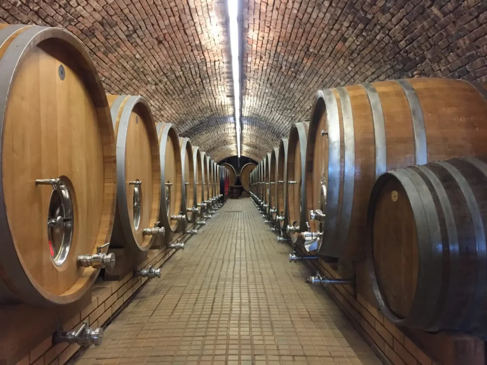 To nejlepší z Velkopavlovicka - Wine Tours Moravia