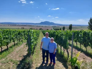 Romantika pro páry - Wine Tours Moravia