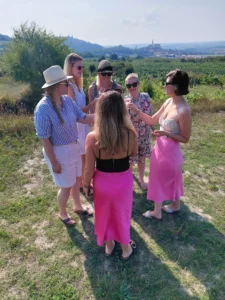 Rozlučky se svobodou - Wine Tours Moravia