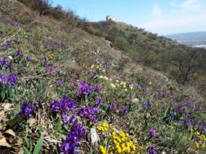 Wine & Hike - Wine Tours Moravia