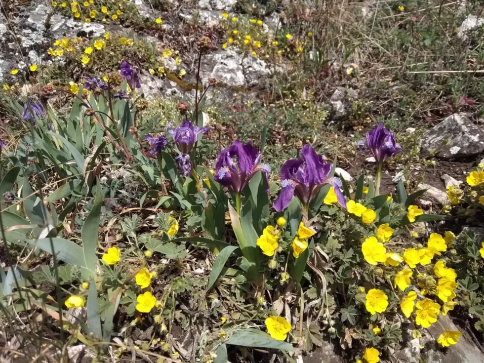 Pálava pro aktivní - Wine Tours Moravia