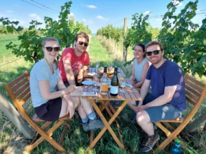 Velký okruh Pálavou - Wine Tours Moravia