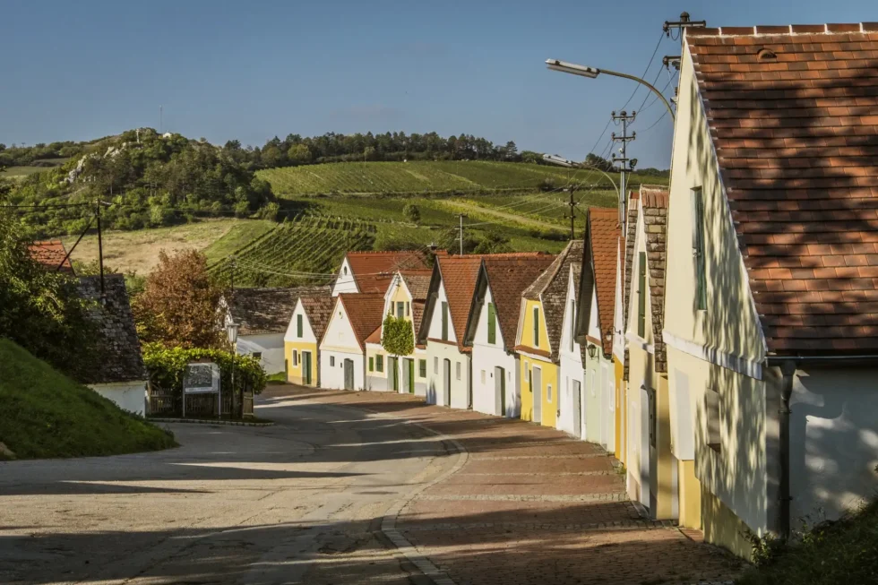 Na skok k sousedům - Wine Tours Moravia