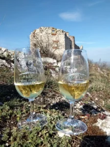 Wine & Hike - Wine Tours Moravia