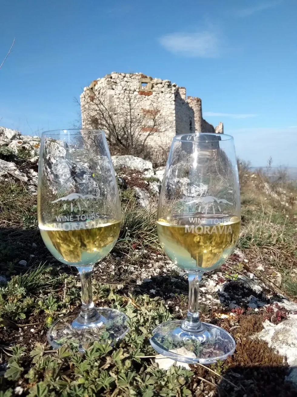 Pálava pro aktivní - Wine Tours Moravia