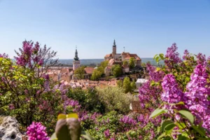 클래식 투어 - 팔라바 + 미쿨로프