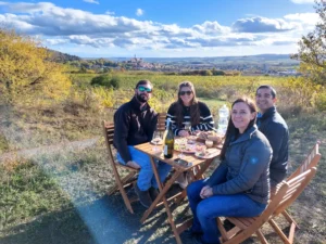 Velký okruh Pálavou - Wine Tours Moravia