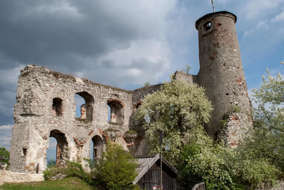 Na skok k sousedům - Wine Tours Moravia