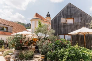 Deluxe wine tour - Wine Tours Moravia