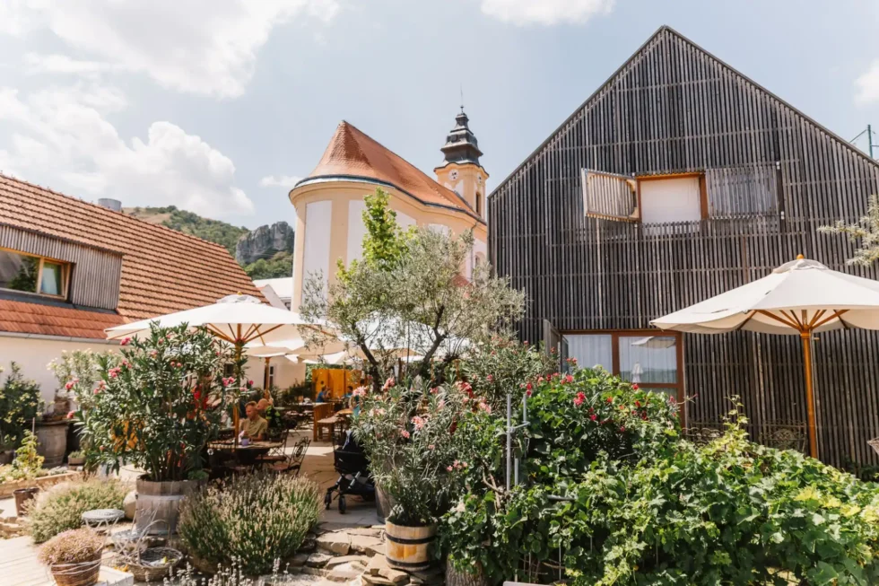 Deluxe wine tour - Wine Tours Moravia