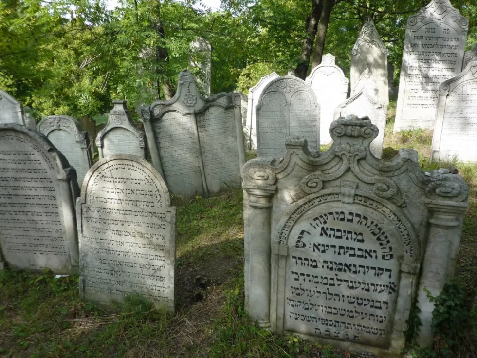 Wine & Jewish heritage - Wine Tours Moravia