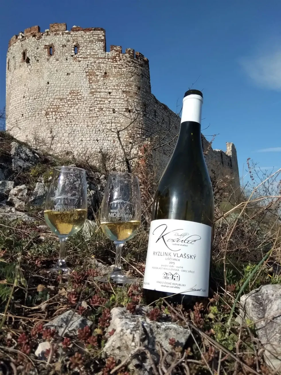 Pálava pro aktivní - Wine Tours Moravia