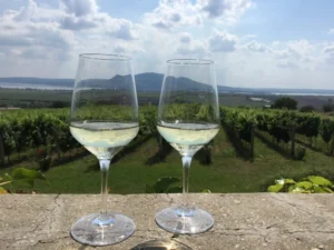 Romantika pro páry - Wine Tours Moravia