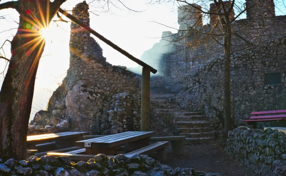 Na skok k sousedům - Wine Tours Moravia