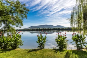 Deluxe wine tour - Wine Tours Moravia