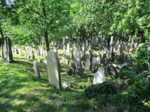 Wine & Jewish heritage - Wine Tours Moravia