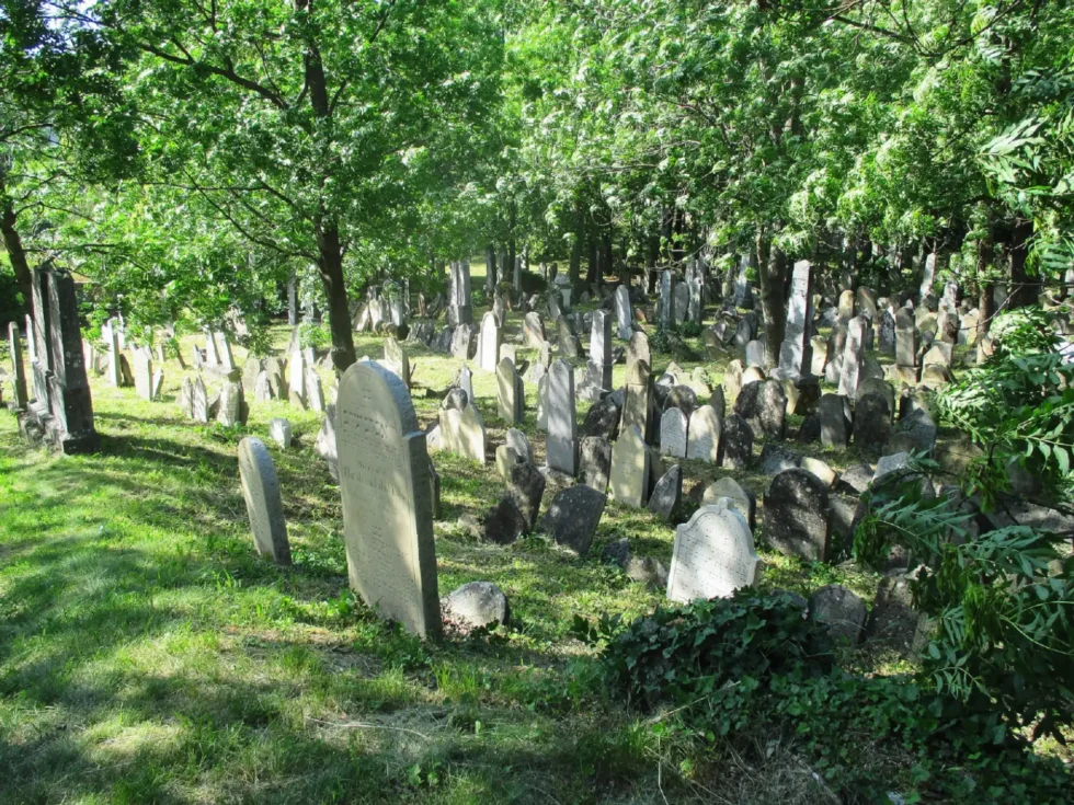 Wine & Jewish heritage - Wine Tours Moravia