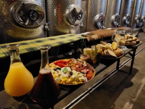 Večerní posezení ve sklípku - Wine Tours Moravia