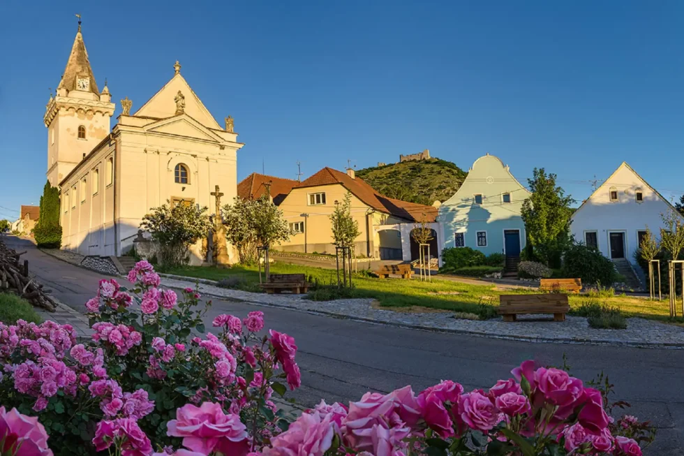 A 2 day taste of Moravia - Wine Tours Moravia