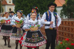 About Moravia - Wine Tours Moravia