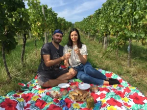 Deluxe wine tour - Wine Tours Moravia
