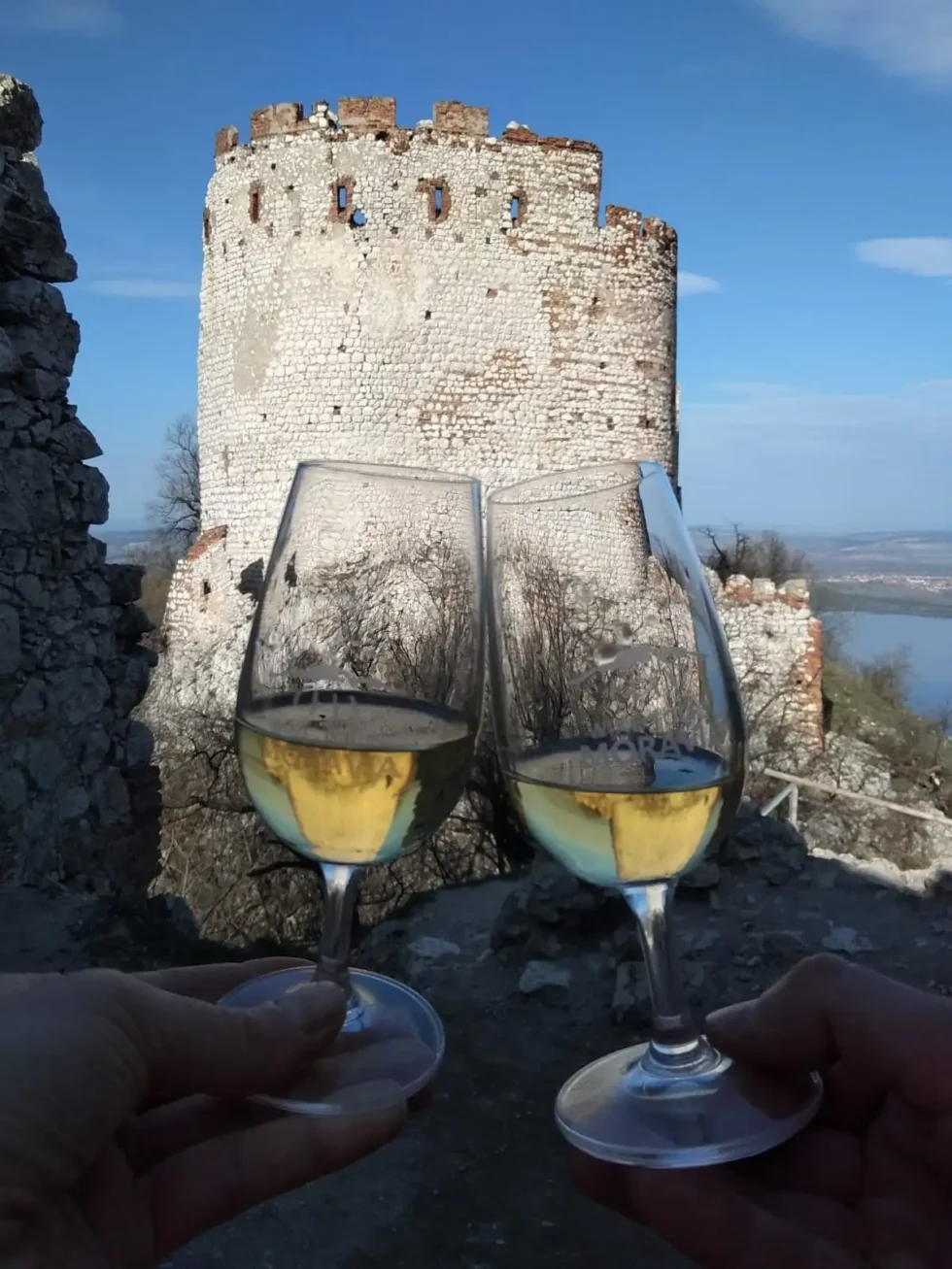 Pálava pro aktivní - Wine Tours Moravia