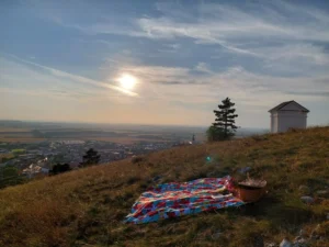 Žádost o ruku - Wine Tours Moravia