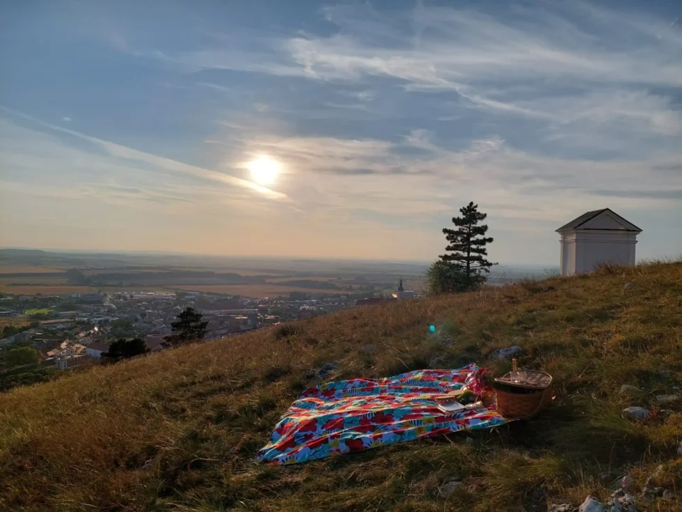 Žádost o ruku - Wine Tours Moravia