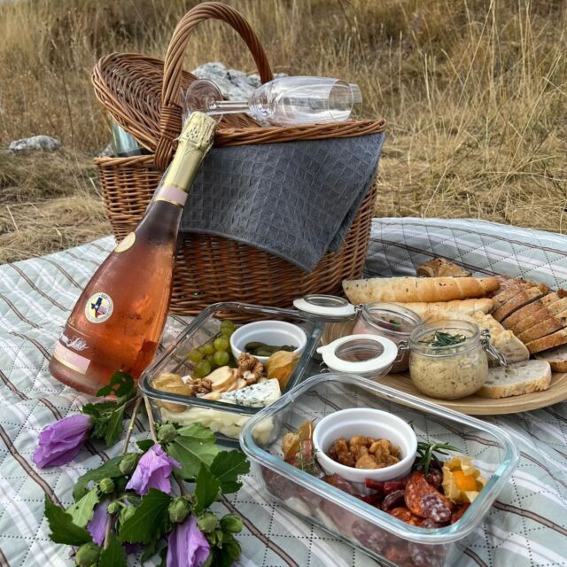 Příprava žádosti o ruku na Svatém kopečku i s malou pomocnicí ❤️💍🥂
Another "Yes I do" in the books 😍💍🥂

#zadostoruku #proposal #weddingproposal #svatykopecek #svatykopecekmikulov #yesido #couple #love #picnic #proposalideas #mikulov #winetoursmoravia
